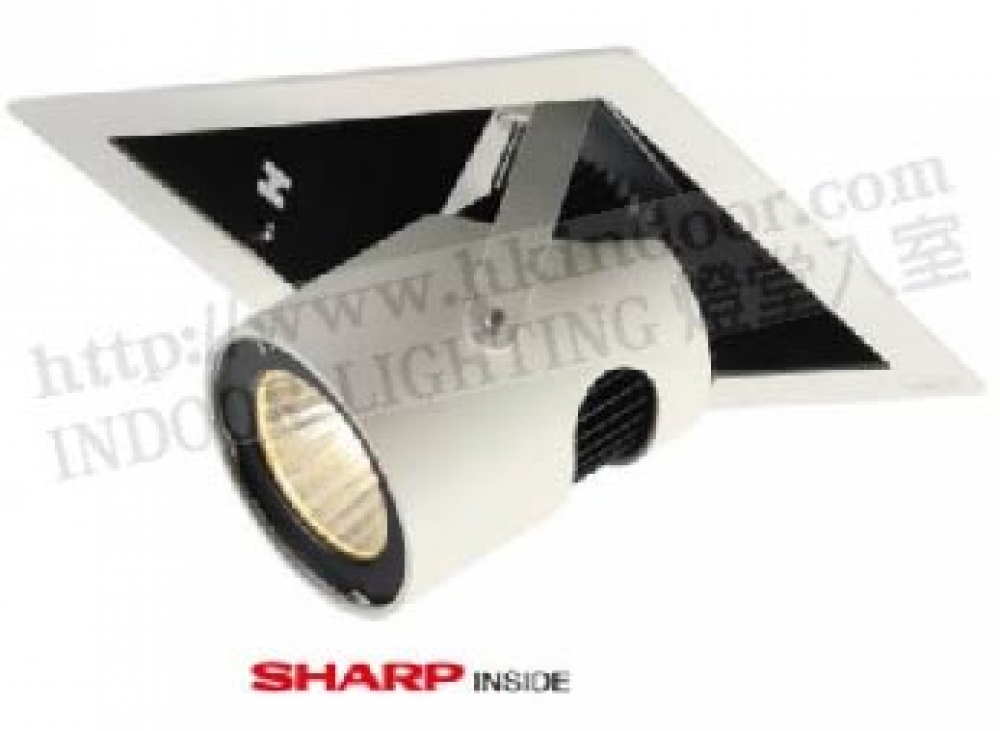 燈堂入室-燈飾 風扇燈 吊扇燈專賣店 INDOOR LIGHTING - Lighting & Ceiling fans Store