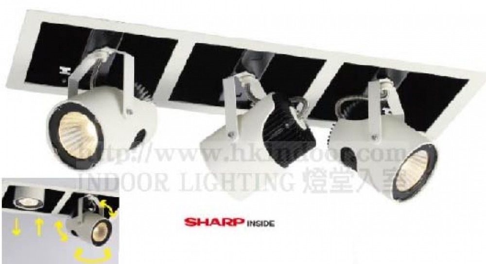 燈堂入室-燈飾 風扇燈 吊扇燈專賣店 INDOOR LIGHTING - Lighting & Ceiling fans Store